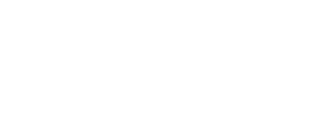 Street Souvlaki